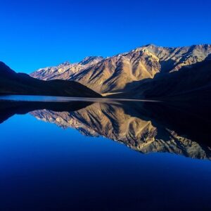 Podcast: Do Animals in the Wild Get Drunk?