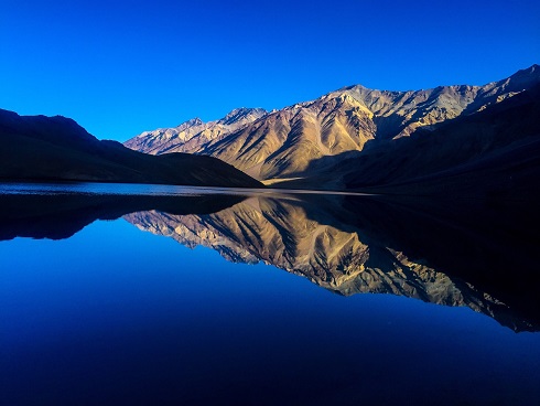 Podcast: Do Animals in the Wild Get Drunk?