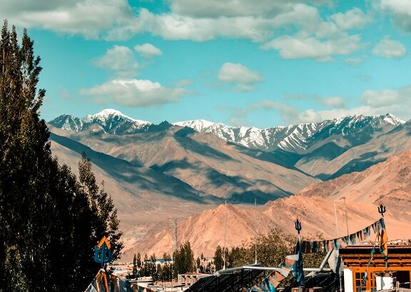 The Summer of Resistance Is  Coming to a City Near You