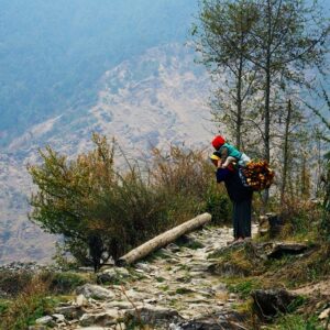 8 Photos Take You Inside the Movement to Save the Amazon