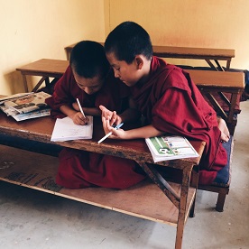 Hug a Tree, They Have Less Issues  than People