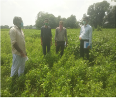 Physical Verification by RC (Simfed) kotabagh