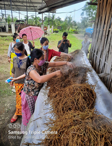 Mushroom Farming , Tezu, Arunachal Pradesh